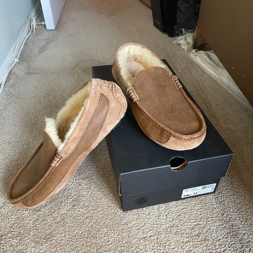 UGG Slippers (Ascot Leather Slippers)